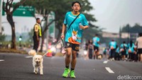 Jogging bersama anabul bisa menjadi cara sederhana untuk tetap aktif sekaligus menikmati waktu berkualitas, menghadirkan pengalaman baru yang menyenangkan bagi pemilik dan hewan peliharaan. 