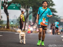 Jogging Bareng Anabul Jadi Momen Seru Perkuat Bonding