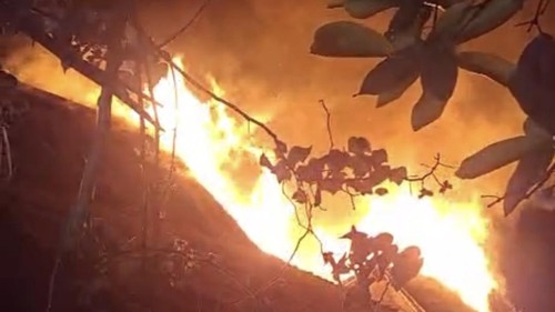 Kebakaran besar di Kampung Desa Adat Sade, Desa Rembitan, Kecamatan Pujut, Lombok Tengah, Sabtu (22/8/2026) malam. (Istimewa)