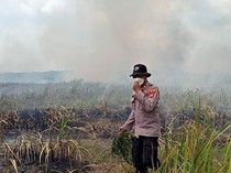 Kebakaran di Taman Nasional Way Kambas Belum Bisa Dipadamkan