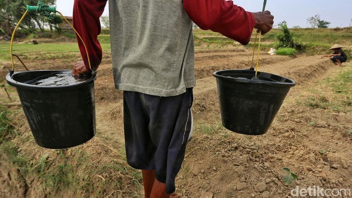 Kemarau panjang membuat warga Cibarusah kesulitan mendapatkan air. Debit Sungai Cipamingkis terus menipis, sementara warga harus berjuang memenuhi kebutuhan sehari-hari.