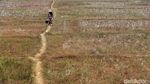 Kekeringan Cekik Cibarusah, Air Cipamingkis Menipis