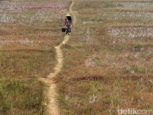 Kekeringan Cekik Cibarusah, Air Cipamingkis Menipis