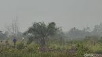 Begini Pemandangan di Kalimantan Saat Berselimut Kabut Asap