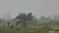 Kabut asap juga menyelimuti Pontianak, Kalimantan Barat. Foto ini diambil pada Sabtu (22/8/2026) saat Presiden Prabowo melakukan kunjungan ke wilayah Desa Limbung, Sungai Raya, Kabupaten Kubu Raya, Kalimantan Barat. Langit tampak putih gelap diselimuti kabut. Sungai Raya menjadi salah satu wilayah yang terdapat titik api Kebakaran Hutan dan Lahan (Karhutla) di provinsi Kalimantan Barat. Asap atau kabut tipis juga menyelimuti area sehingga jarak pandang menjadi terbatas. (Eva/detikcom)