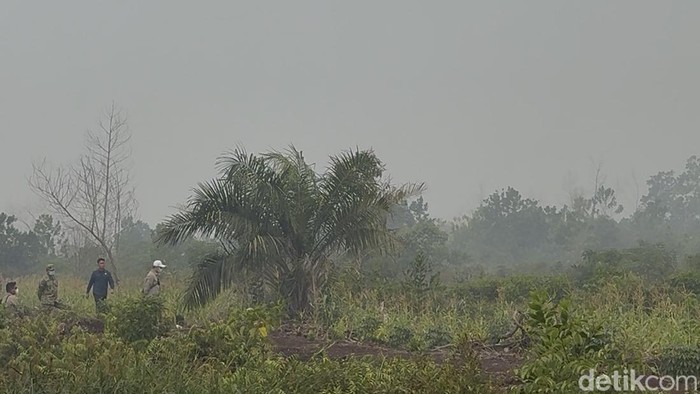 ScreenshotLangit di Kalbar Wilayah Terdampak Karhutla