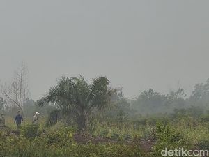 Kalbar Perpanjang Status Tanggap Darurat Asap Karhutla hingga 20 September