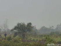 Langit Putih Gelap dan Aroma Bakaran Daun Menyengat di Sungai Raya Kalbar