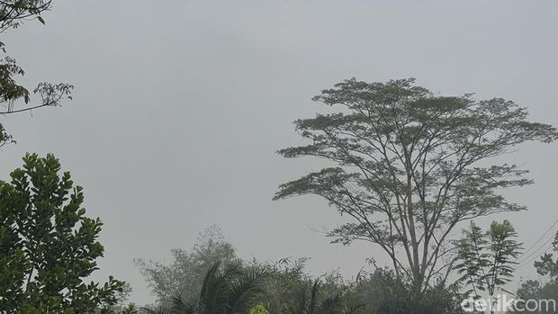 Langit di Kalbar Wilayah Terdampak Karhutla