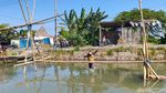 Lomba Ninja Warrior Kampung di Taman Sidoarjo