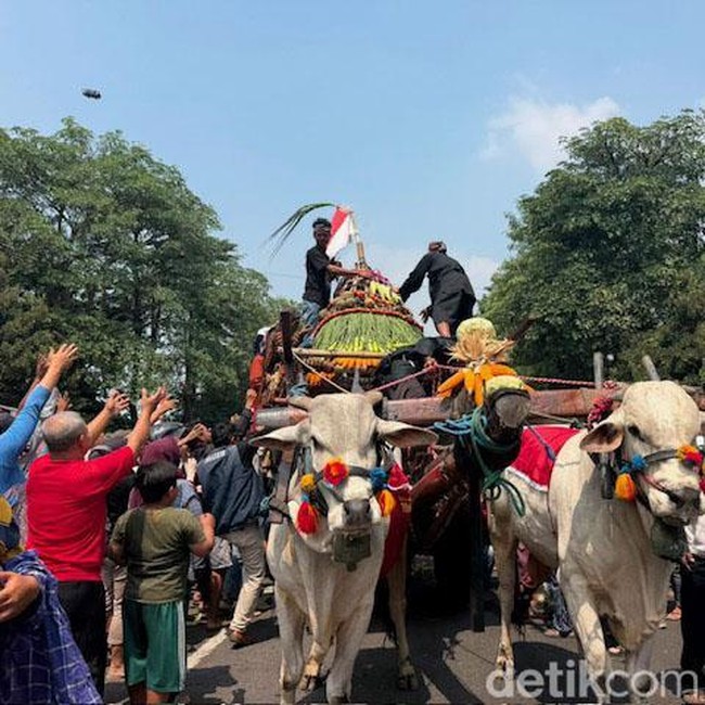Merawat Tradisi, 43 Cikar Ramaikan Parade Cikar di Kabupaten Kediri