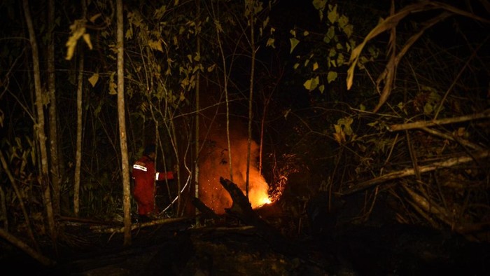 Petugas COP memadamkan api karhutla di Kawasan Hutan dengan Tujuan Khusus (KHDTK) Labanan, Berau yang jaraknya sudah 550 meter dari pusat penyelamatan orang utan. (Istimewa)