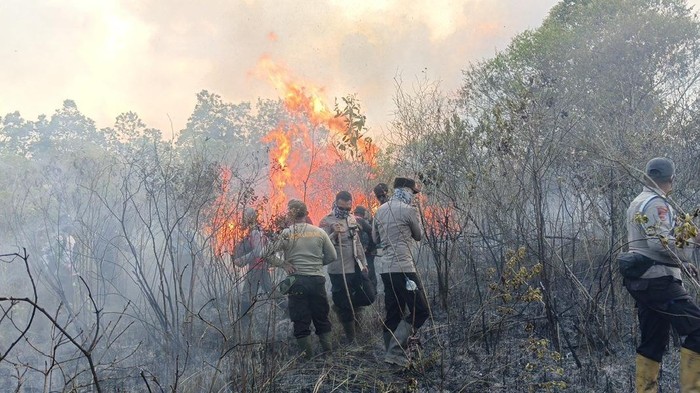 Proses pemadam kebakaran di Taman Nasional Way Kambas, Lampung Timur