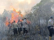 Taman Nasional Way Kambas Dilalap Api, Pemadaman Terhambat Akses