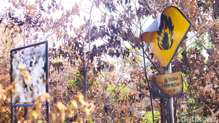 Rambu peringatan kebakaran hutan rusak terbakar. Lokasinya berada di atas tanah kandungan batu bara di Jalan Amal Lama, Tarakan Timur. (Oktavian Balang/detikKalimantan)