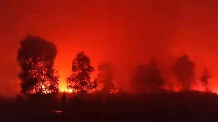 Taman Nasional Way Kambas terbakar