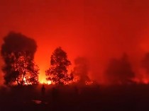 Taman Nasional Way Kambas Kebakaran, Gajah Liar Dipastikan Aman