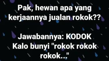 Kodok ternyata punya pekerjaan sampingan jualan rokok. Buktinya setiap bersuara terdengar seperti rokok, rokok, rokok. Ampun, Pak! Foto: X.com