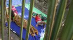 Trauma Gempa, 1.812 Warga Sikka NTT Mengungsi di Area Terbuka