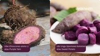 Masih Lho Banyak yang Keliru, Ini Perbedaan Ube Vs Ubi Ungu