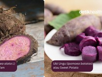 Perbandingan Nutrisi Ube vs Ubi Ungu, Mana yang Lebih Sehat?