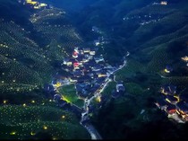 Video: 10 Ribu Lampu Bikin Sawah di China Jadi Secantik Ini