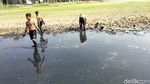 Waduk di Gresik Surut, Anak-anak Manfaatkan Kubangan untuk Berburu Ikan