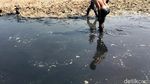 Waduk di Gresik Surut, Anak-anak Manfaatkan Kubangan untuk Berburu Ikan