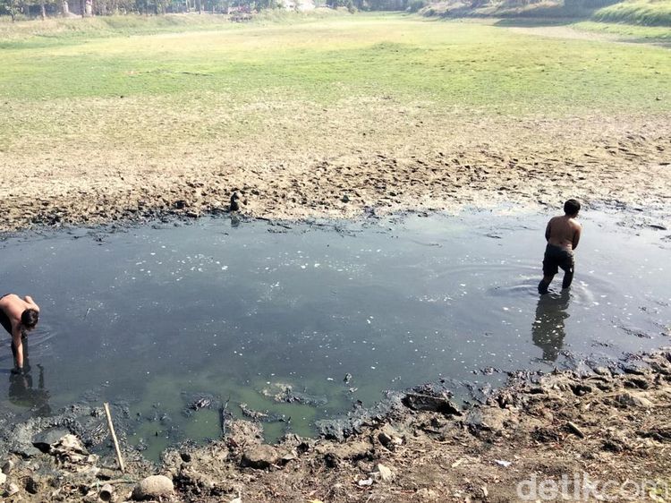 Waduk di Gresik Surut, Anak-anak Manfaatkan Kubangan untuk Berburu Ikan