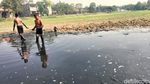 Waduk di Gresik Surut, Anak-anak Manfaatkan Kubangan untuk Berburu Ikan