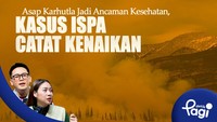 Asap Karhutla Jadi Ancaman Kesehatan, Kasus ISPA Catat Kenaikan