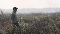 Kebakaran di TN Way Kambas Sudah Padam, Gajah-gajah Dipastikan Aman