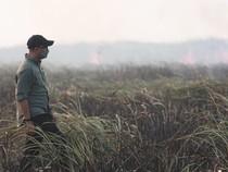 Kebakaran di TN Way Kambas Sudah Padam, Gajah-gajah Dipastikan Aman