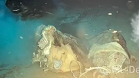 llmuwan Tenggelamkan Sapi di Laut Lalu Sosok Raksasa Muncul