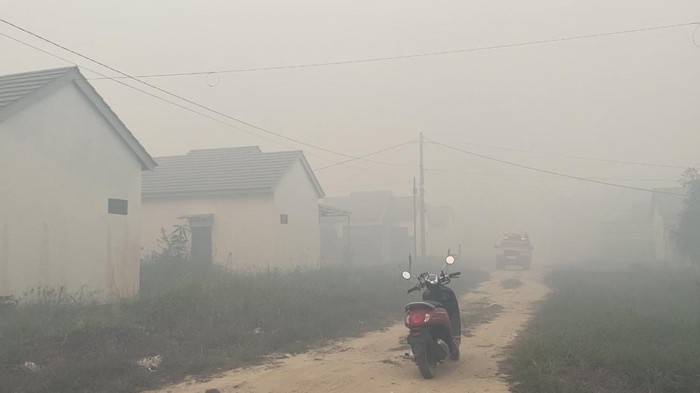 Karhutla di Banjarbaru Dekati Perumahan