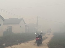 9.307 Titik Hospot Terdeteksi di Kalsel, Paling Banyak di Tapin