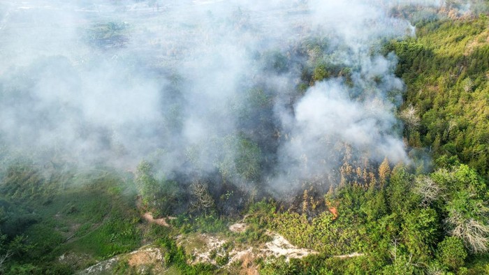 Karhutla di Kampung Enam Tarakan