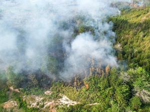 Perjuangan Petugas Padamkan Karhutla di Kampung Enam Tarakan