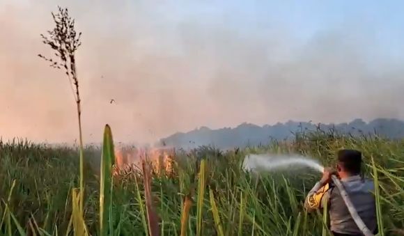 Kebakaran hutan dan lahan (karhutla) yang terjadi di kawasan Taman Nasional Way Kambas (TNWK), Kabupaten Lampung Timur, berhasil dipadamkan pada Sabtu (22/8/2026) malam. (Dok. Polda Lampung) Kebakaran hutan dan lahan (karhutla) yang terjadi di kawasan Taman Nasional Way Kambas (TNWK), Kabupaten Lampung Timur, berhasil dipadamkan pada Sabtu (22/8/2026) malam. (Dok. Polda Lampung)