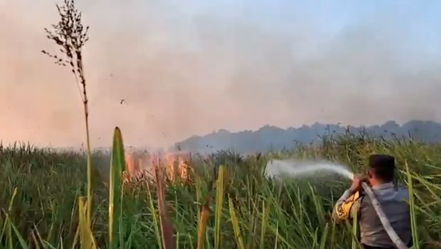 Kebakaran hutan dan lahan (karhutla) yang terjadi di kawasan Taman Nasional Way Kambas (TNWK), Kabupaten Lampung Timur, berhasil dipadamkan pada Sabtu (22/8/2026) malam. (Dok. Polda Lampung) Kebakaran hutan dan lahan (karhutla) yang terjadi di kawasan Taman Nasional Way Kambas (TNWK), Kabupaten Lampung Timur, berhasil dipadamkan pada Sabtu (22/8/2026) malam. (Dok. Polda Lampung)
