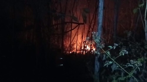 Kebakaran lahan di Lingkungan Awen, Kelurahan Lelateng, Kecamatan Negara, Kabupaten Jembrana, Bali, pada Sabtu (22/8/2026).