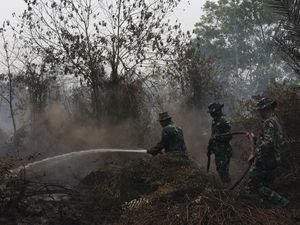 Update Karhutla: 3.947 Titik Panas di Kalteng, 2.825 Hotspot di Kalbar