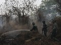 Kenapa Asap Karhutla Bisa Menjalar Jauh dari Titik Api?