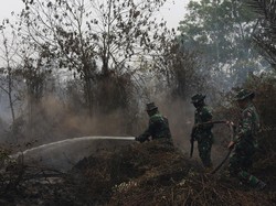 Video: Gimana Nasib Satwa Saat Karhutla? Ini Kata Pakar BRIN