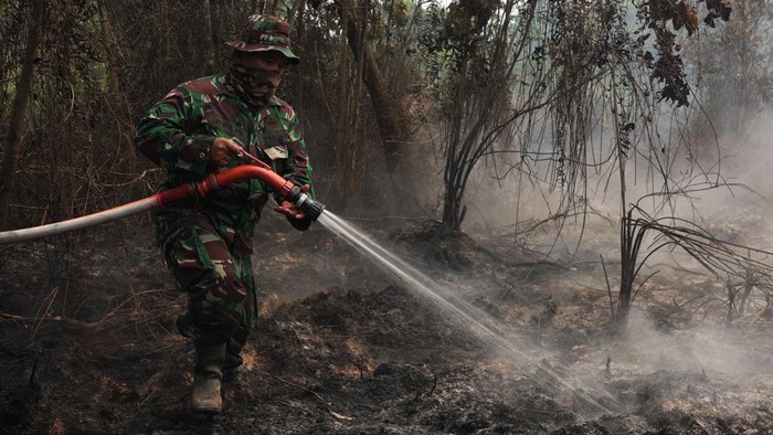 Personel Yonif TP 882/Hulubalang melakukan pembasahan untuk mencegah api kembali menyala di lokasi kebakaran lahan gambut di Desa Arang Limbung, Kecamatan Sungai Raya, Kabupaten Kubu Raya, Kalimantan Barat, Minggu (23/8/2026). BNPB mencatat luas lahan di Kalimantan Barat yang terbakar akibat kebakaran hutan dan lahan sejak Januari hingga Agustus 2026 mencapai 38.310,89 hektare, yang berpotensi menimbulkan bencana asap di sejumlah kabupaten/kota di provinsi setempat. ANTARA FOTO/Jessica Wuysang/wsj.