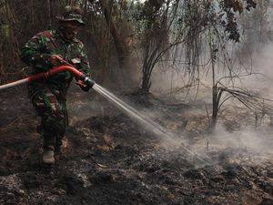 63 Kasus Karhutla Masih Ditangani di Kalbar, 7 Orang Sudah Tersangka