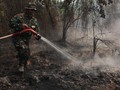 Tepung Singkong untuk Padamkan Karhutla, Benarkah Efektif?