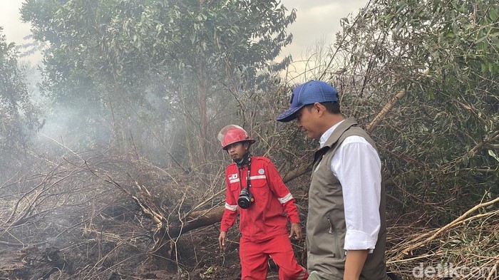 Menteri Kehutanan (Menhut), Raja Juli Antoni di lokasi karhutla Kalsel
