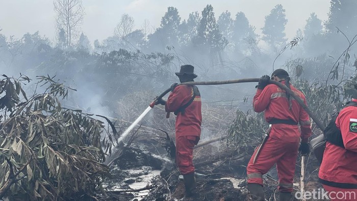 Menteri Kehutanan (Menhut), Raja Juli Antoni di lokasi karhutla Kalsel