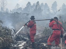 Sederet Bantuan Haji Isam dalam Penanganan Karhutla Kalsel
